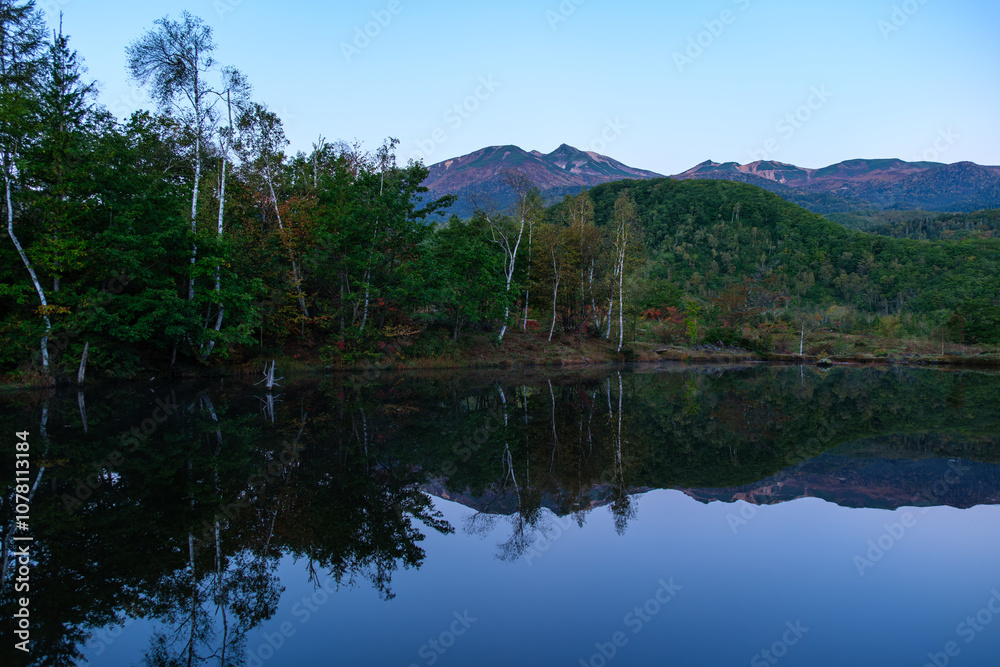 まいめ池の映り込み まいめ池の映り込み