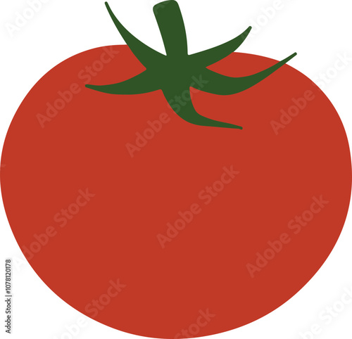 Tomato illustration vector art on white background, Tomato color vector, tomato vector graphic 