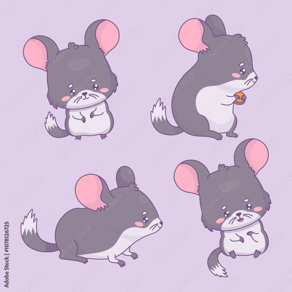 Fototapeta premium Cute chinchilla set. Isolated funny cartoon kawaii animal rodent characters. Vector illustration. Kids collection