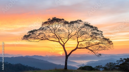 As the sun dips below the horizon, casting a warm glow across the sky, the silhouettes of trees and mountains are outlined against the fading light