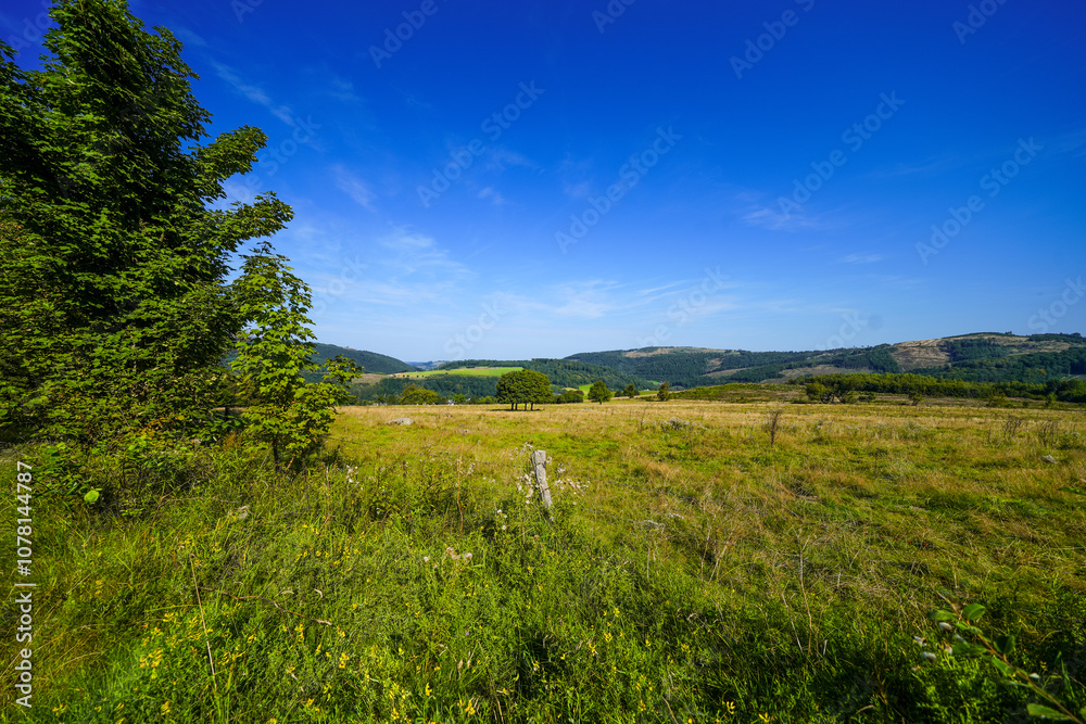 Obraz premium Landscape in the Sauerland near Olsberg. Nature with hiking trails on Istenberg in the Rothaargebirge. 