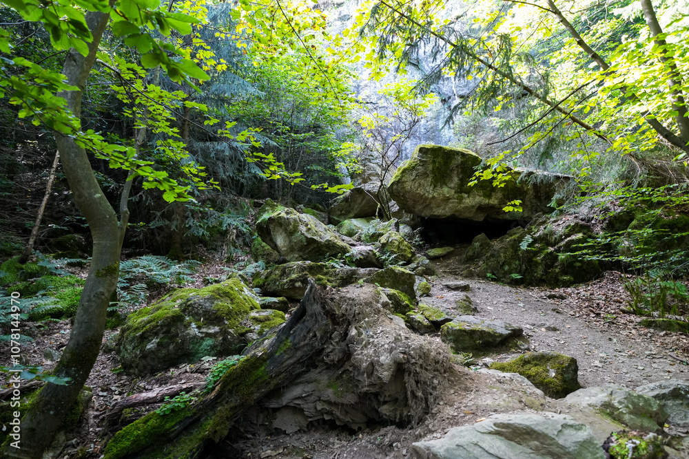 Landscape near Bruchhauser Steine in the Sauerland near Olsberg. Nature with hiking trails on Istenberg in the Rothaargebirge.
Landscape near Bruchhauser Steine in the Sauerland near Olsberg. Nature with hiking trails on Istenberg in the Rothaargebirge.