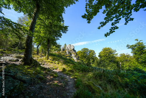 Landscape near Bruchhauser Steine ​​in the Sauerland near Olsberg. Nature at Istenberg on the Rothaargebirge.
 photo