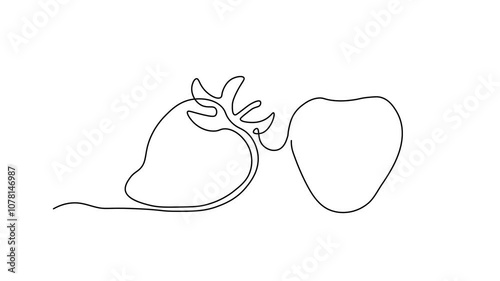 fruit strawberry berry and slice. Self drawing animation one continuous line draw, logo