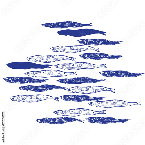 Hand Drawn Sardines illustration on white background