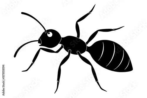 Bullet Ant Silhouette Vector Graphic.