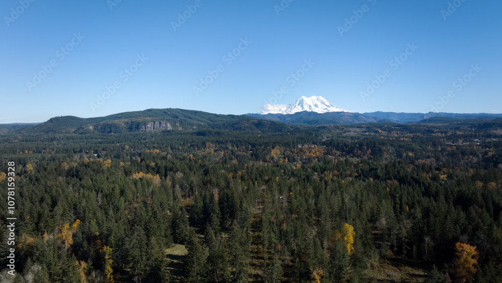 Distant View of Mount Rainier Above Expansive Evergreen Forest in Washington Distant View of Mount Rainier Above Expansive Evergreen Forest in Washington