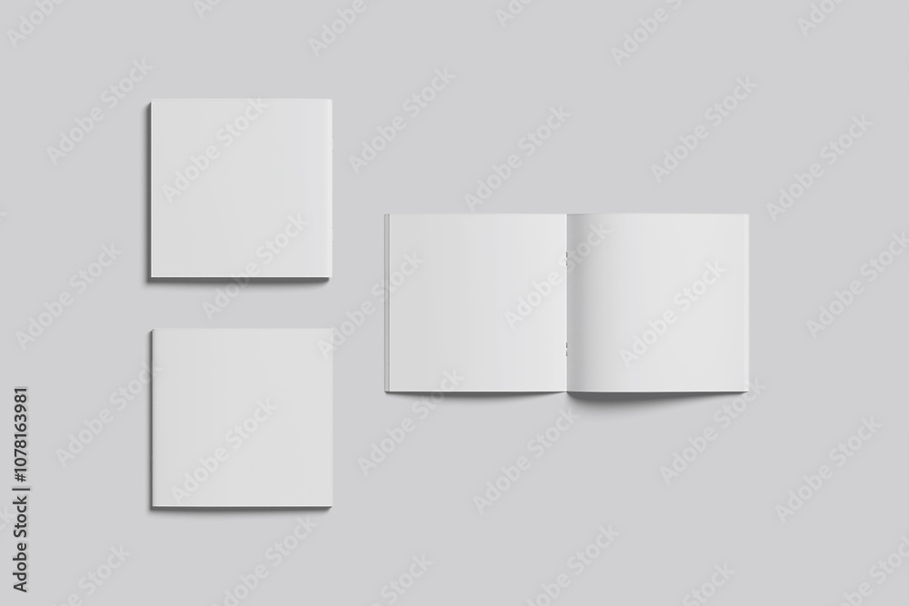 Blank Brochure Square Open and Cover
Blank Brochure Square Open and Cover