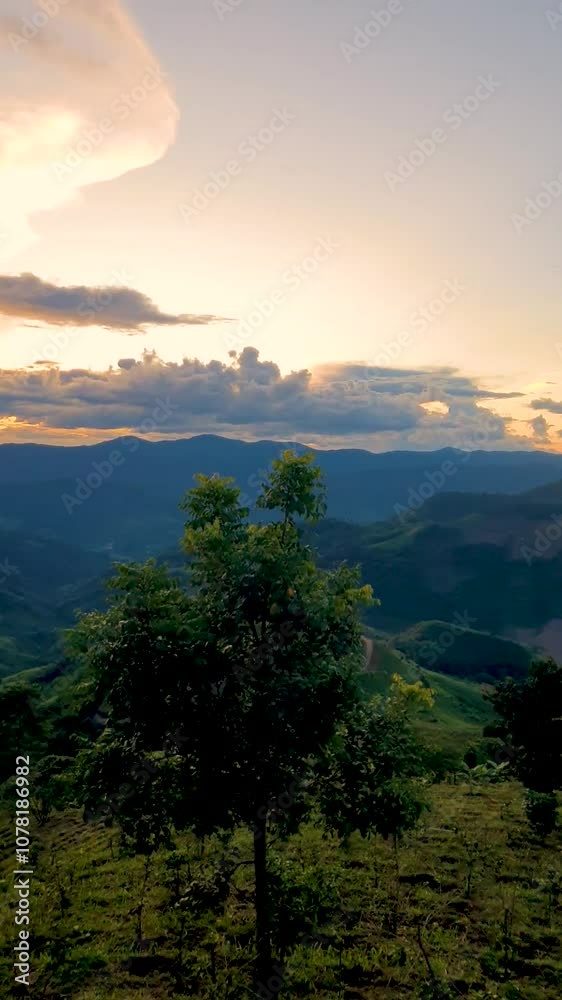 Experience the breathtaking beauty of a vibrant sunset casting golden hues across lush rolling hills. Witness nature tranquility as clouds drift lazily against the twilight sky in Chiang Mai Thailand Experience the breathtaking beauty of a vibrant sunset casting golden hues across lush rolling hills. Witness nature tranquility as clouds drift lazily against the twilight sky in Chiang Mai Thailand
