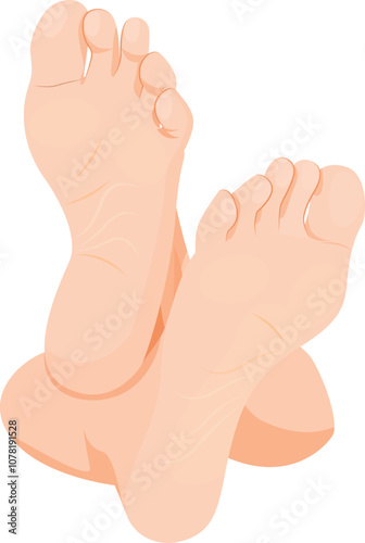 Woman Feet, Human feet. sole, heel and toes, healthy skin, toenails, body part, human body anatomy elements,