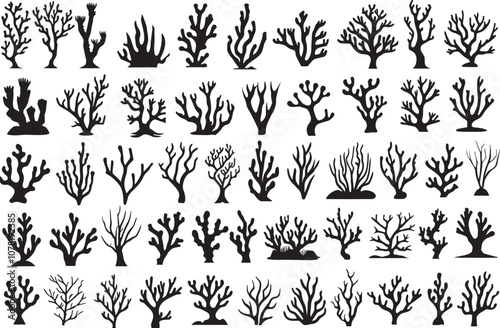 Coral silhouette vectors. Silhouettes of corals vector illustrations. photo