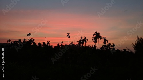 Obraz na płótnie Silhouette of palm trees at sunset w salonie
