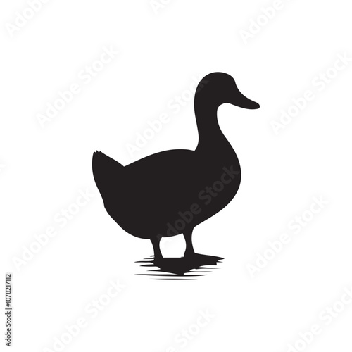 Duck icon. Duck black silhouette isolated on white background. Vector illustration, Domestic and wild ducks.