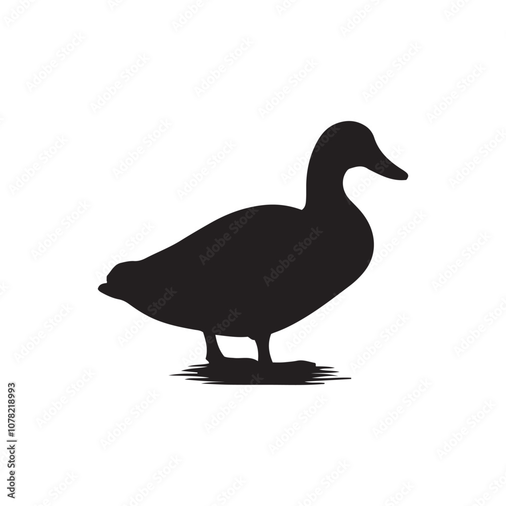 Duck icon. Duck black silhouette isolated on white background. Vector illustration, Domestic and wild ducks. Duck icon. Duck black silhouette isolated on white background. Vector illustration, Domestic and wild ducks.