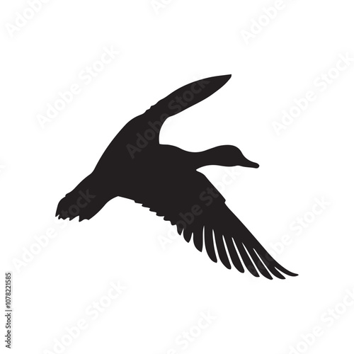 Duck icon. Duck black silhouette isolated on white background. Vector illustration, Domestic and wild ducks.