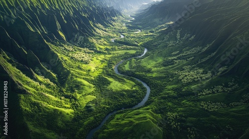 Majestic Aerial View of Lush Green Valley with Flowing River, Capturing the Serenity of Nature's Untouched Landscape in the Heart of a Mountain Range