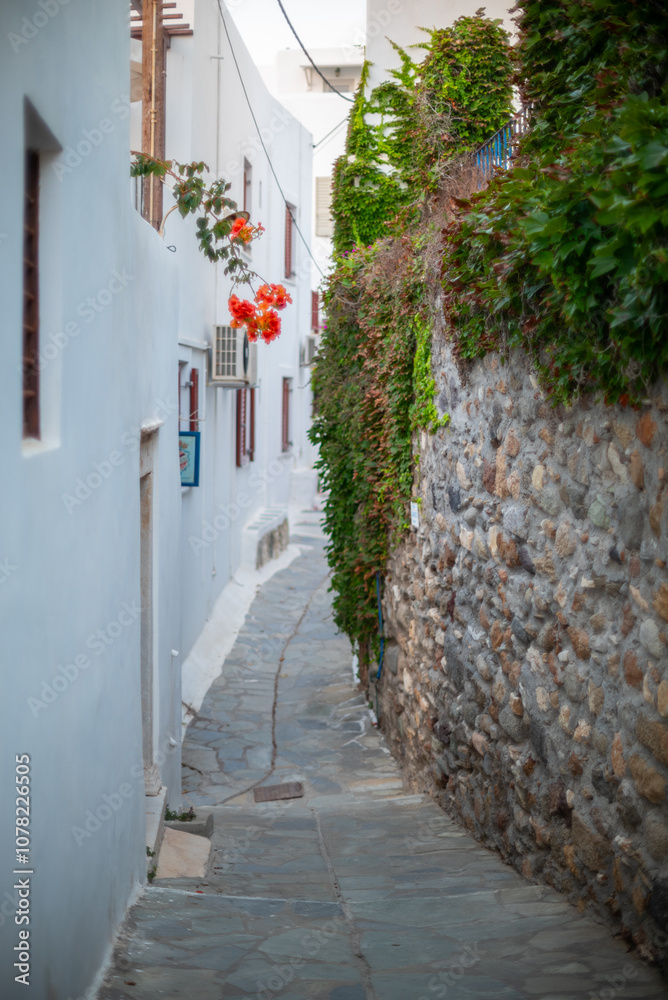 Old town at Naxos Hora town in Naxos, largest of the Greek Cyclades islands in the Aegean sea Old town at Naxos Hora town in Naxos, largest of the Greek Cyclades islands in the Aegean sea