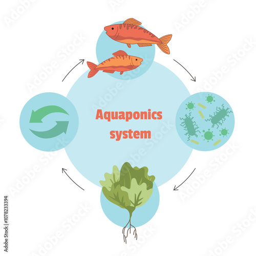 Aquaponics system food production with hydroponics plants and fishes. Environmental and nature friendly gardening and agriculture model with ecological irrigation system