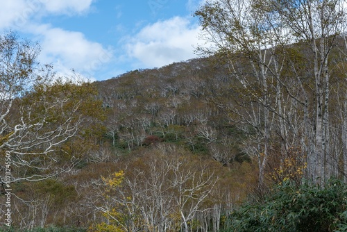 紅葉の始まった山の風景