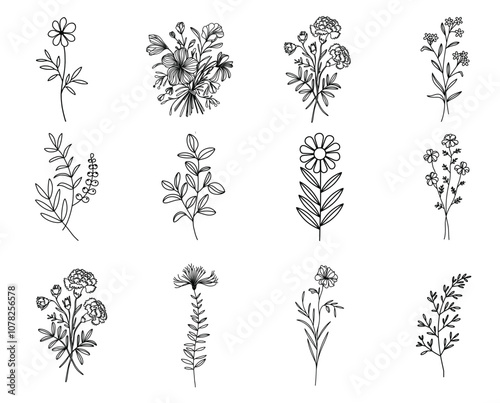 Wallpaper Mural Floral Line Art Silhouette. Hand Drawn Spring Minimal Flowers In Line Art Style. Torontodigital.ca