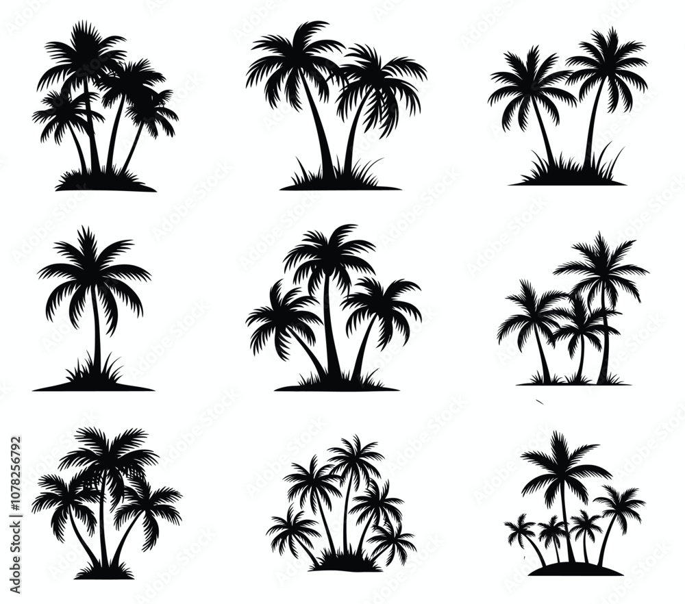 Palm Trees Set Isolated On White Background. Palm Silhouettes. Palm Trees Set Isolated On White Background. Palm Silhouettes.