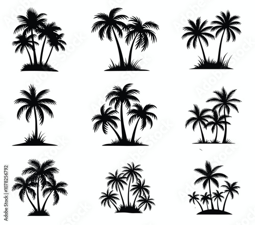 Palm Trees Set Isolated On White Background. Palm Silhouettes.