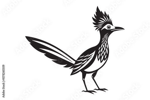 Greater Roadrunner  silhouette  vector bundle illustration, Greater Roadrunner  silhouette  photo