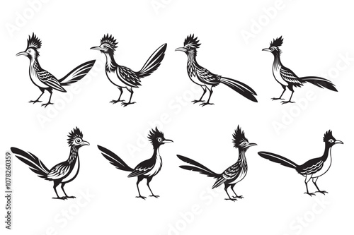 Greater Roadrunner  silhouette  vector bundle illustration, Greater Roadrunner  silhouette  photo