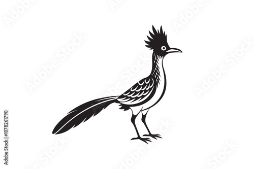 Greater Roadrunner silhouette vector bundle illustration, Greater Roadrunner silhouette 