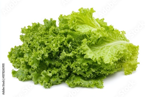 isolated green butterhead lettuce salad