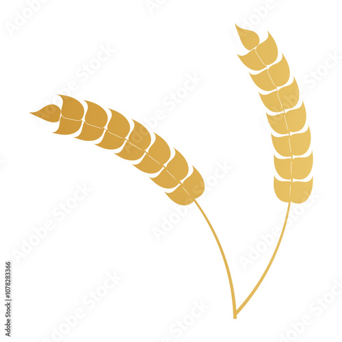 Wheat icon. Wheat and Rice icon. wheat with ears icon. vector illustration.