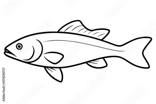 Walleye Fish Line Art Vector.