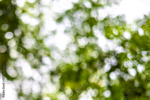 This photo is blurry and out of focus, but the bokeh and colors are beautiful with oranges, yellows, greens, and whites. It was taken in Myanmar with a high-resolution professional camera.