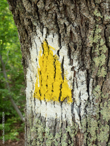 Yellow triangle hiking trail mark photo