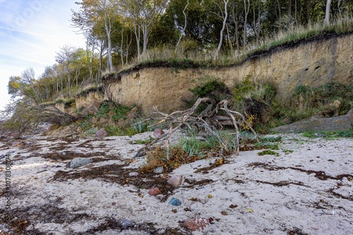 Obraz na płótnie Steep coast of the island of Poel, marked by the tides of the Baltic Sea w salonie