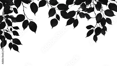 Silhouette of Tree Branches with Leaves