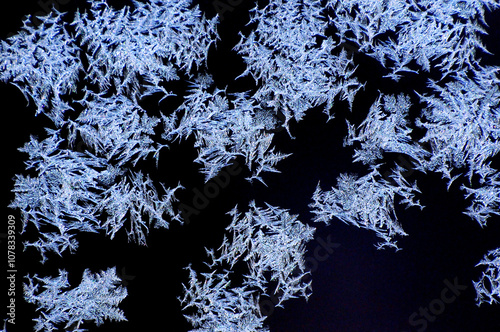 Beautiful nature shot, natural wallpaper, 