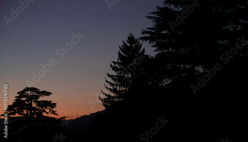 Silhouette of pine trees at sunset in the mountains. Nature background