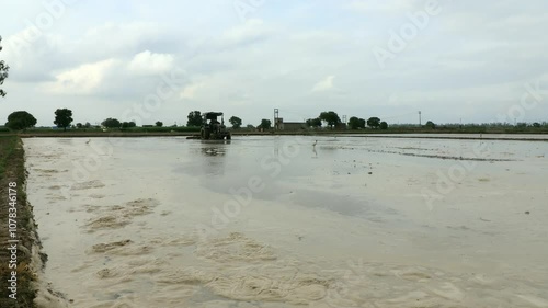 Farmer plowing paddy field using tractor and cultivator during rainy season under the beautiful cloudscape.