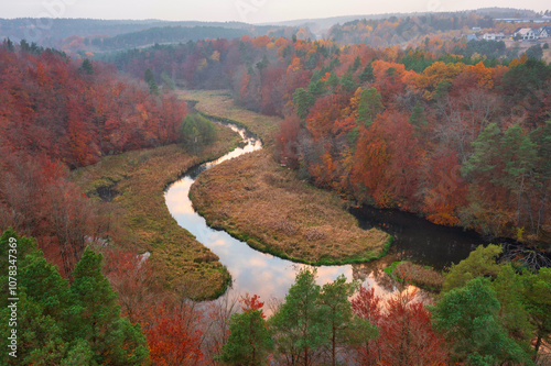 Autumnal landscape of the forest and twisted Radunia river in Kashubia. Poland