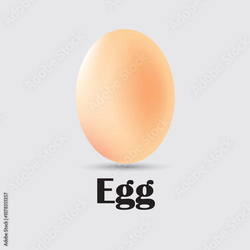 Egg vector representation image 