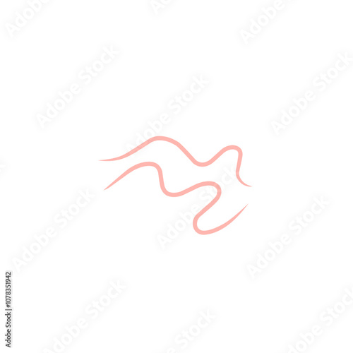 Common types of worms in Cats and Dogs
