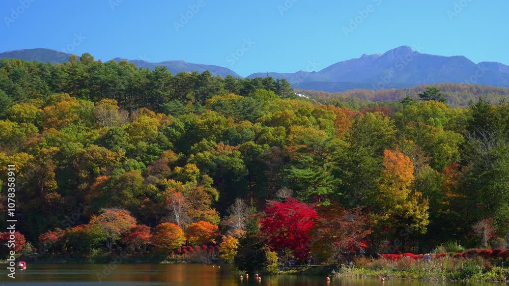 秋の蓼科湖 秋の蓼科湖