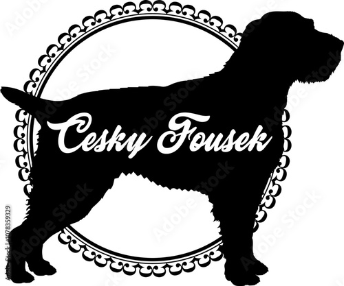 Cesky Fousek dog silhouette, dog, dog breeds, logo, vector, silhouette, logo design, animal, illustration, icon, sign, design, black, symbol, pet
 photo