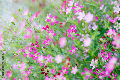 Beautiful Spring Flowers with Delicate Pink Petals in a Lush Garden Setting, Capturing the Essence of Nature's Vibrant Color Palette and Serene Atmosphere
