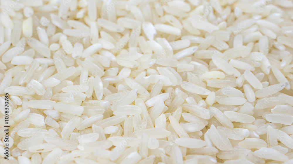 macro photo of white rice. background or texture macro photo of white rice. background or texture