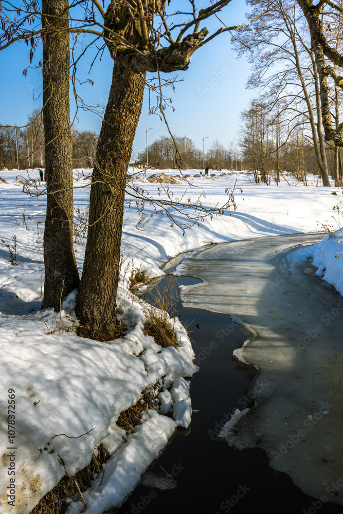 Fototapeta premium A snowy landscape with a small stream of water