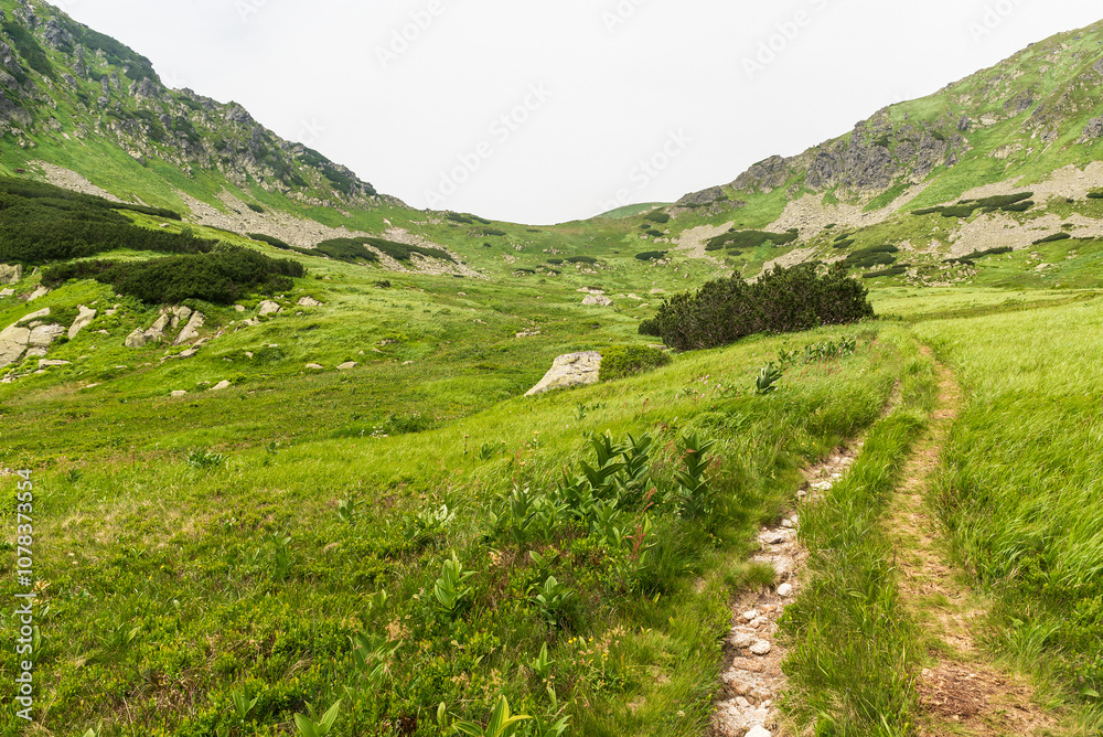 Obraz premium Zavory mountain pass from higher part of Kobylia dolina valley in Western Tatras mountains in Slovakia