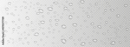 Rain water drops falling on transparent background. Wet, clear surface with bubbles on the surface. Realistic clear water, water drops for creative banner design