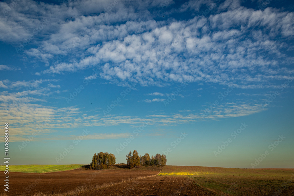 Fototapeta premium october landscape - autumn sunny day, beautiful trees with colorful leaves on the hill, Poland, Europe, Podlasie, white clouds on blue sky